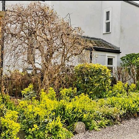 The Mews - Less Than 1Km To City Centre - Stadium - Castle - 10 Min Walk Cardiff Exterior foto